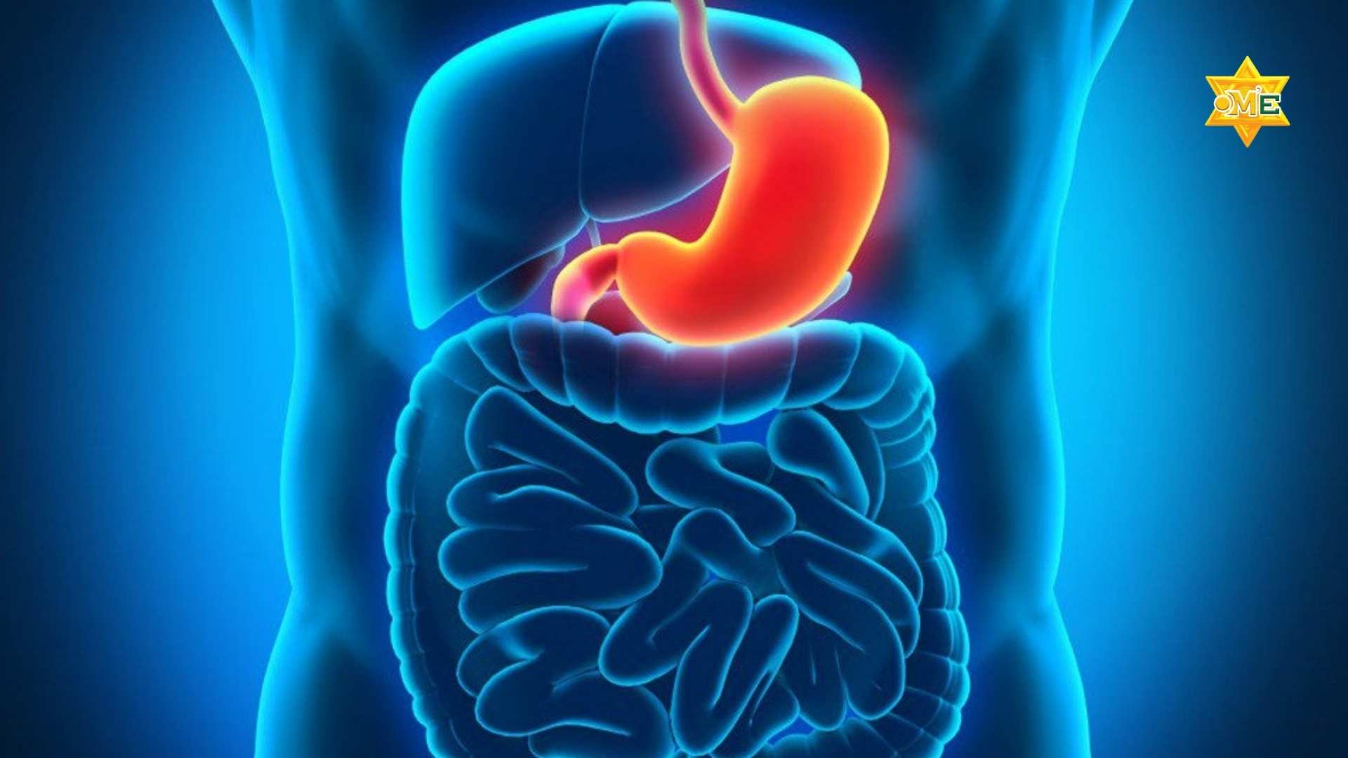 Triệu chứng của đau dạ dày là gì?