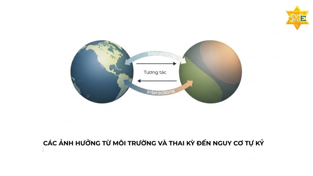 Ảnh hưởng môi trường và thai kỳ đến nguy cơ tự kỷ
