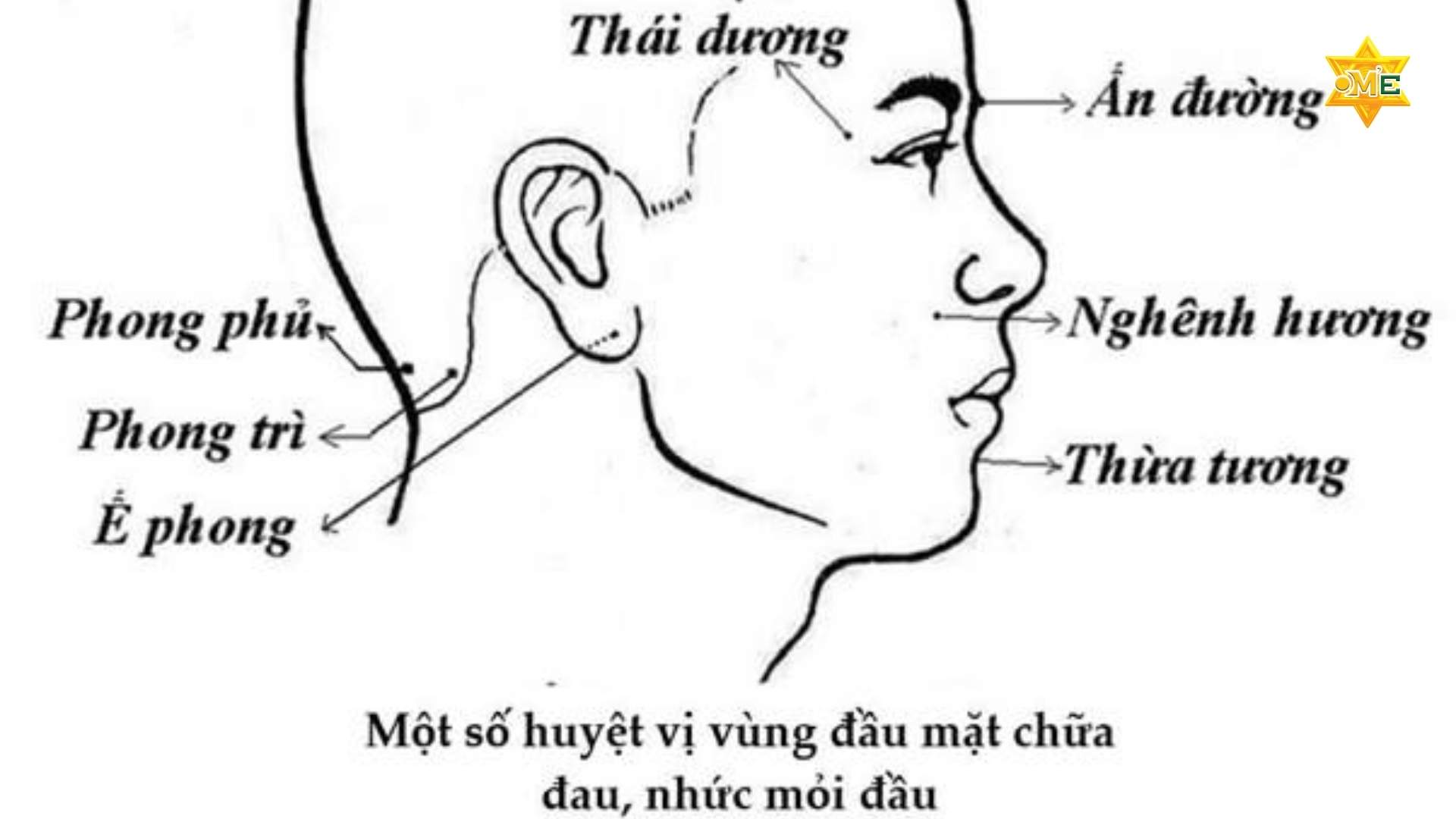 Hướng Dẫn Xoa Bóp Đầu Tại Nhà