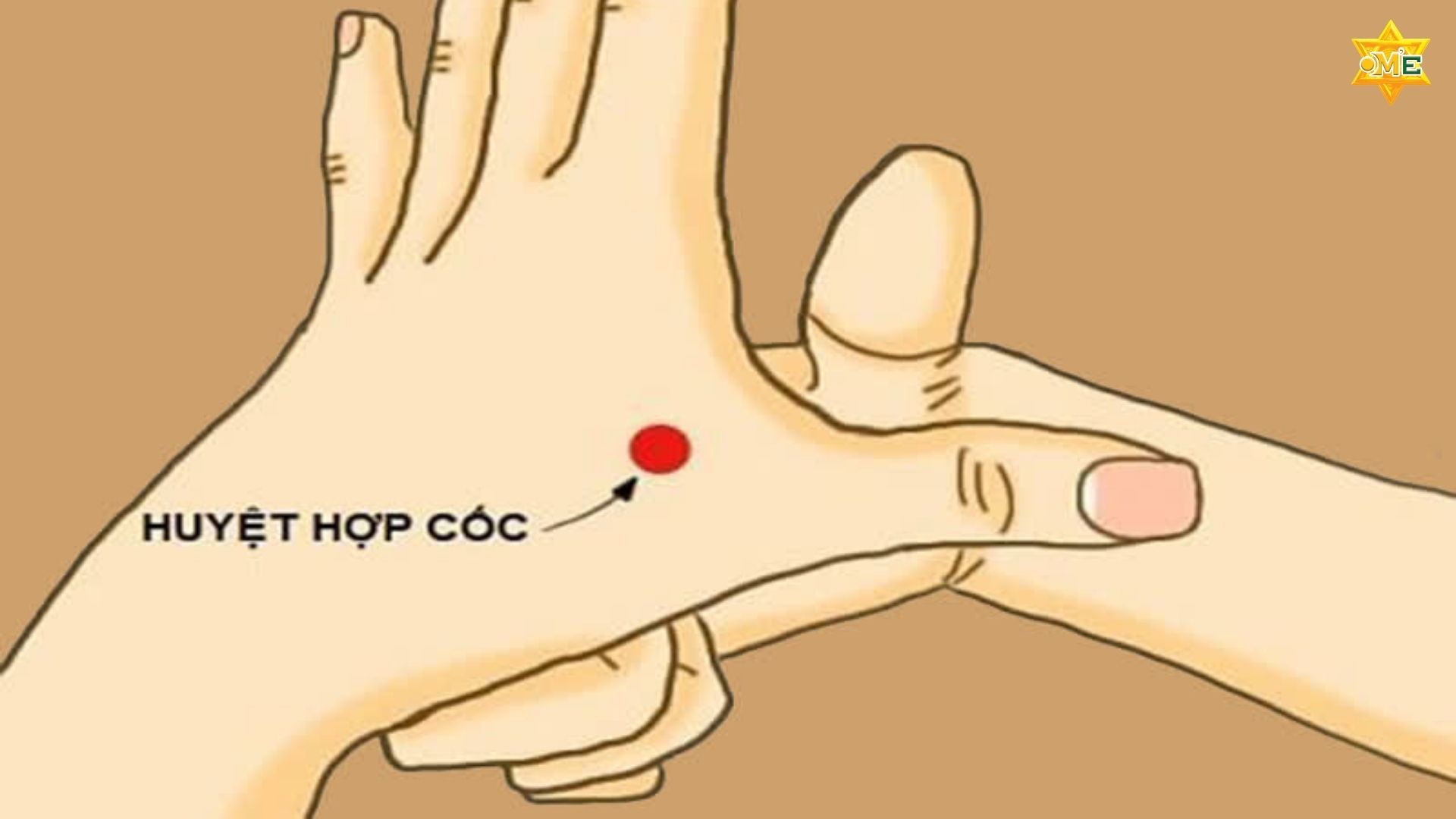 Cách Xoa Bóp Đau Nửa Đầu Bằng Tay