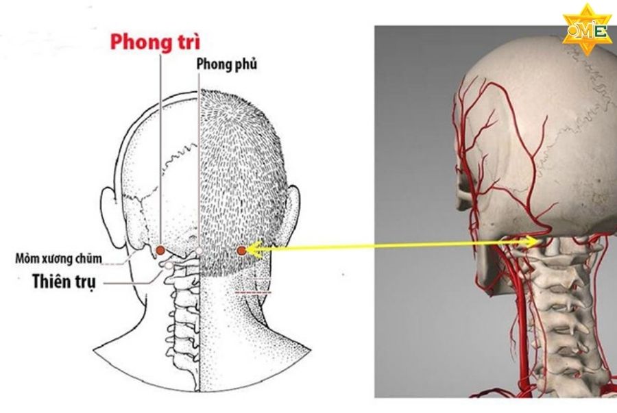 huyệt Phong trì