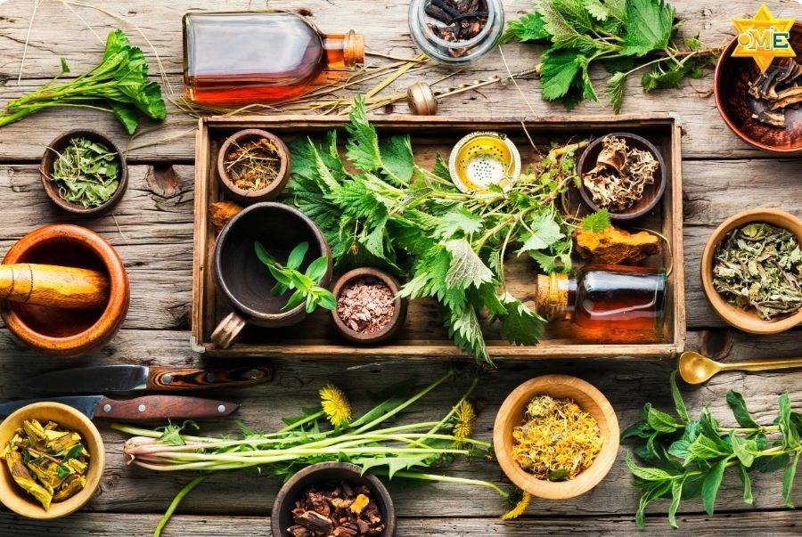 học y học cổ truyền tại nhà