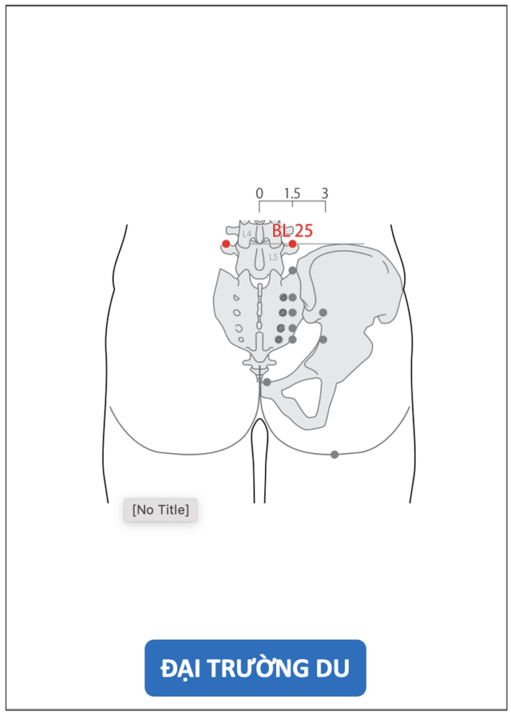 Sơ đồ vị trí huyệt Đại Trường Du theo chuẩn WHO Sơ đồ vị trí huyệt Đại Trường Du theo chuẩn WHO