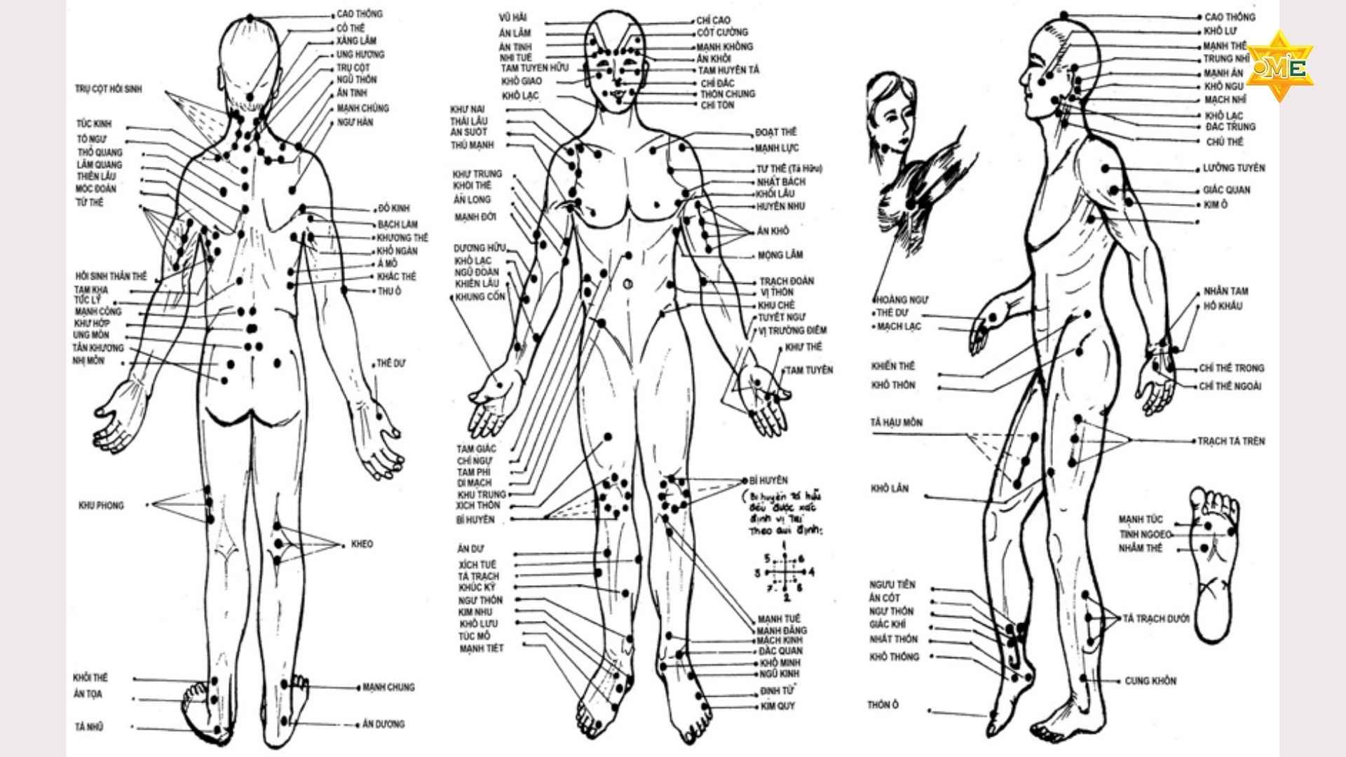 Huyệt Đạo Trên Cơ Thể Con Người Là Gì