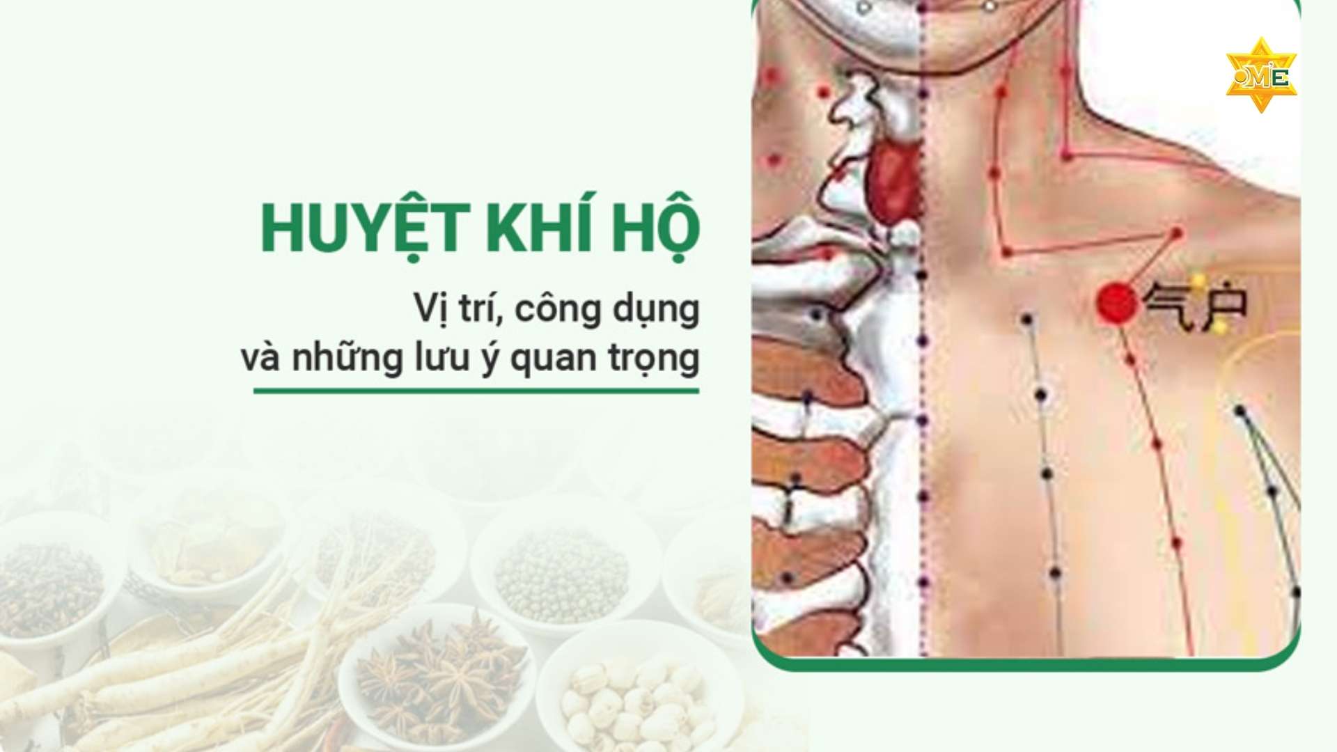 Cách xác định huyệt trên ngực chuẩn xác nhất