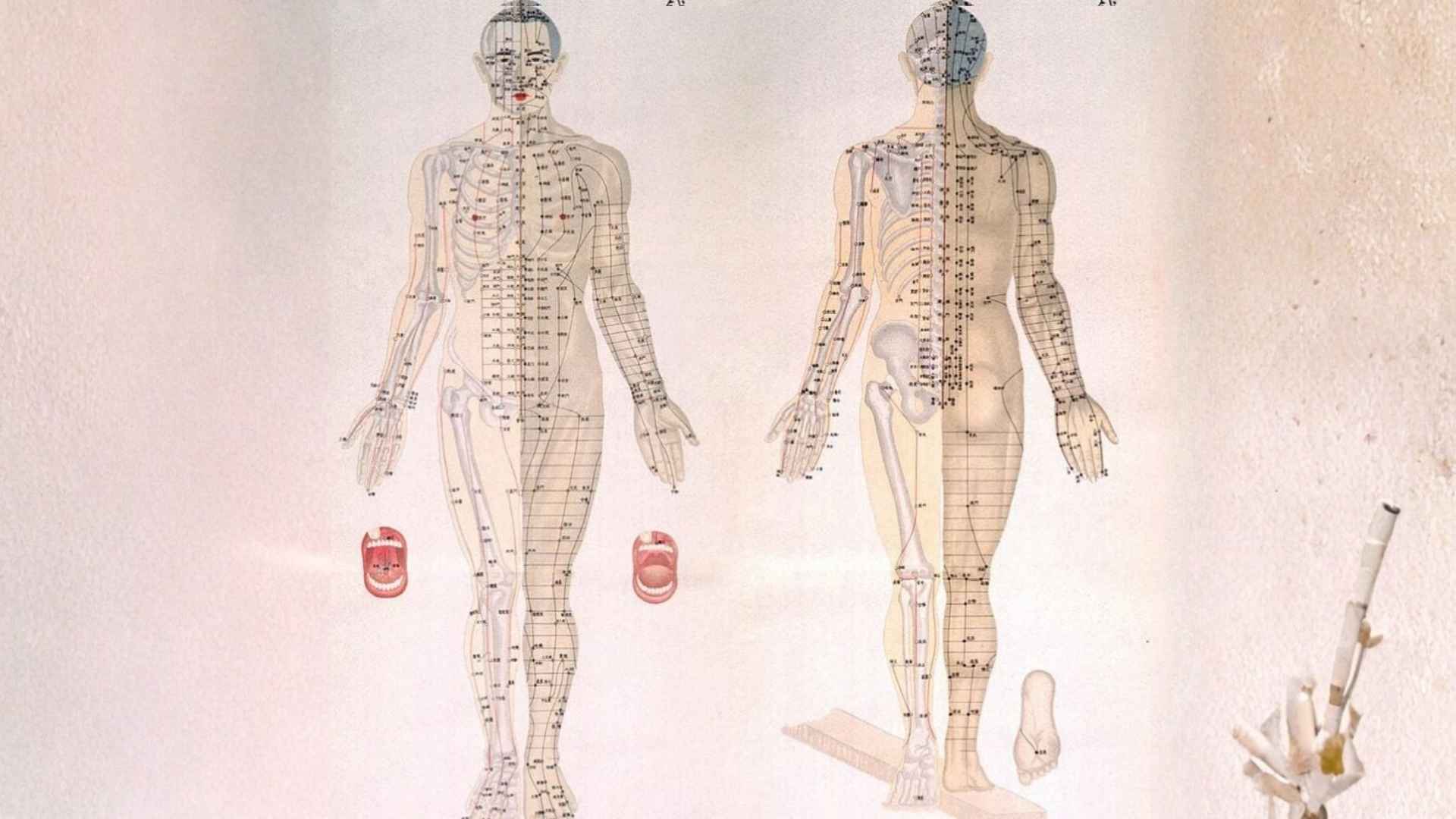 Cách xác định huyệt trên cơ thể người
