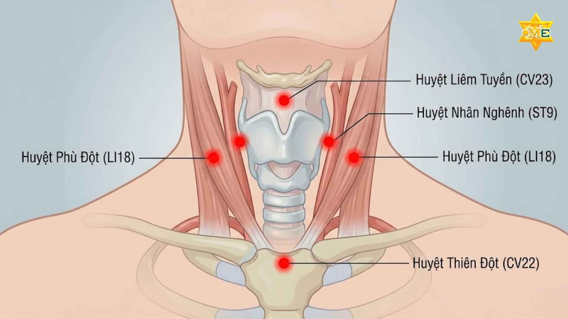 Lắm Rõ Lợi Ích Của Các Huyệt Vị Trên Cổ