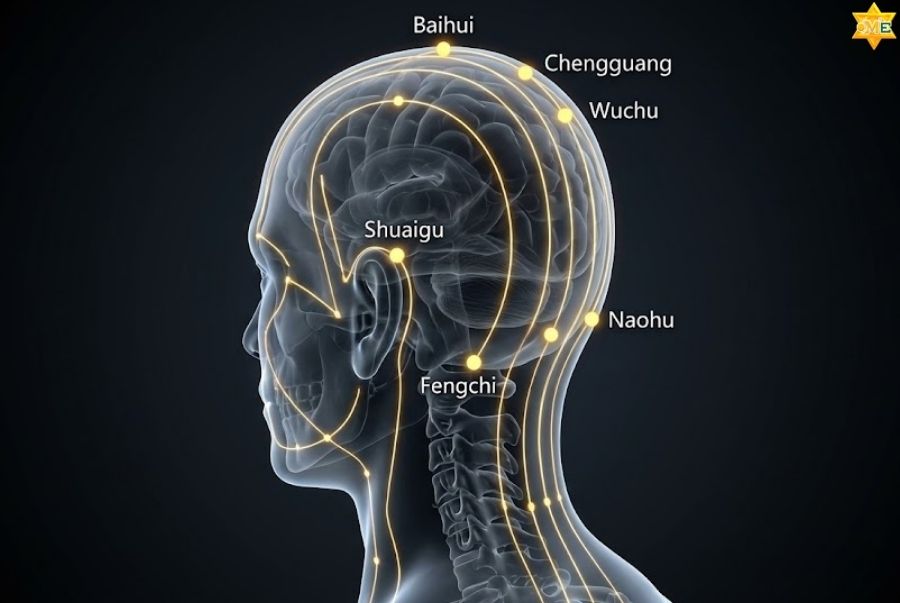 Tầm quan trọng của các huyệt đạo trên đầu và mặt