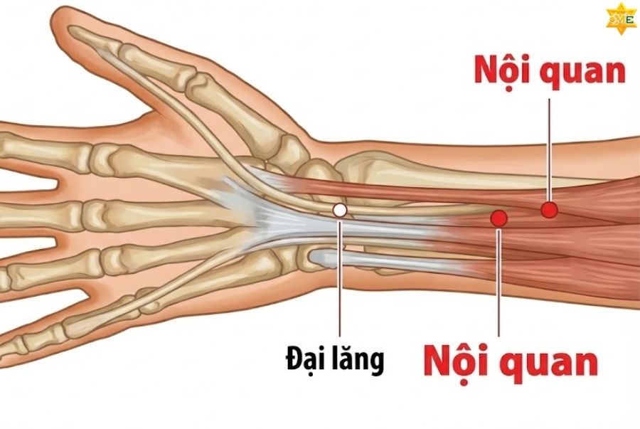 Tác dụng của huyệt Nội quan
