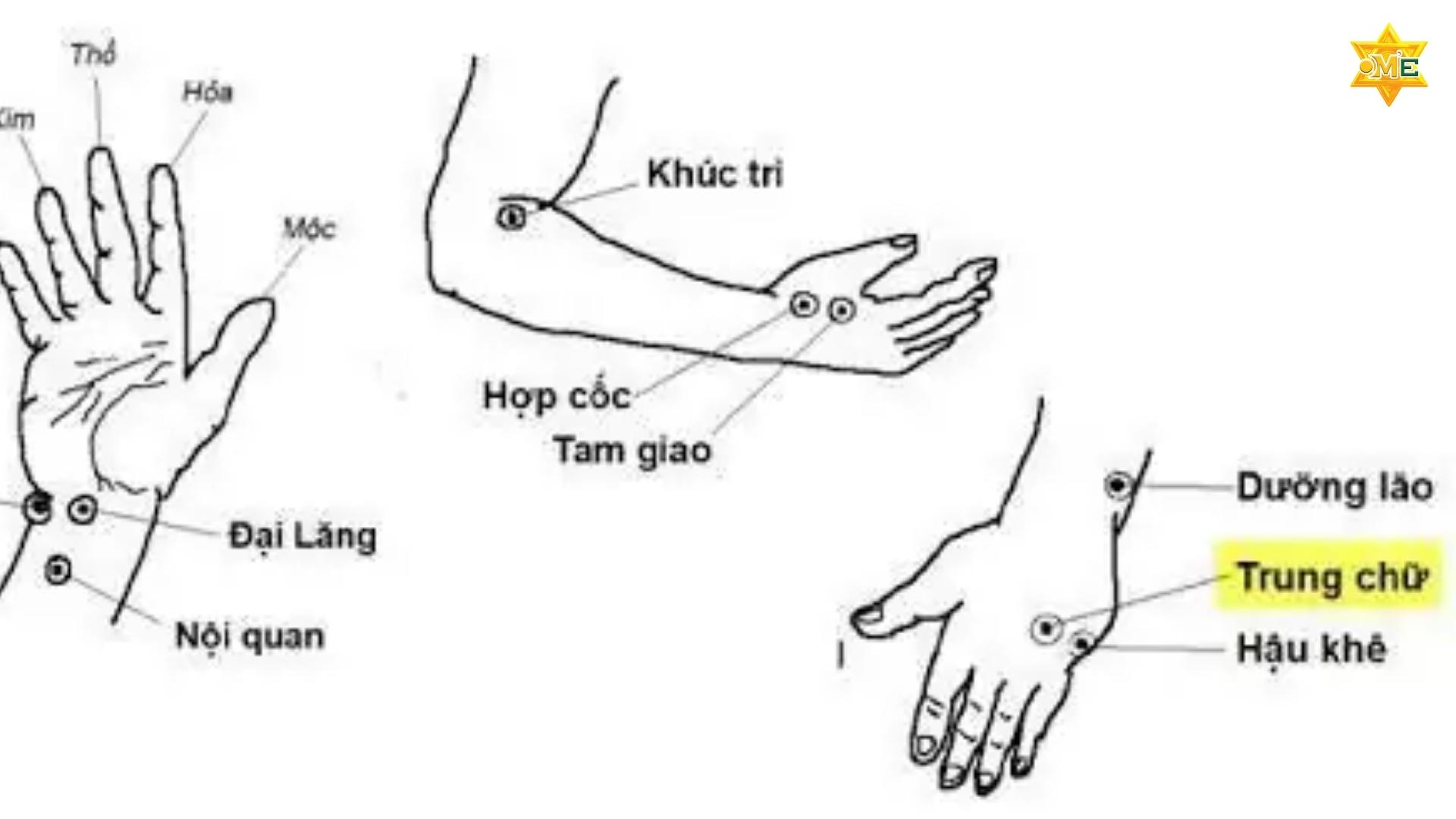 Cách xác định huyệt trung chữ chuẩn xác