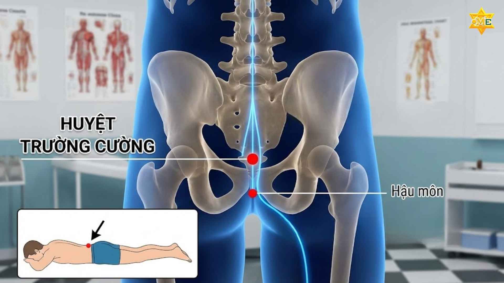 Tìm hiểu vị trí và cách xác định huyệt trường cường