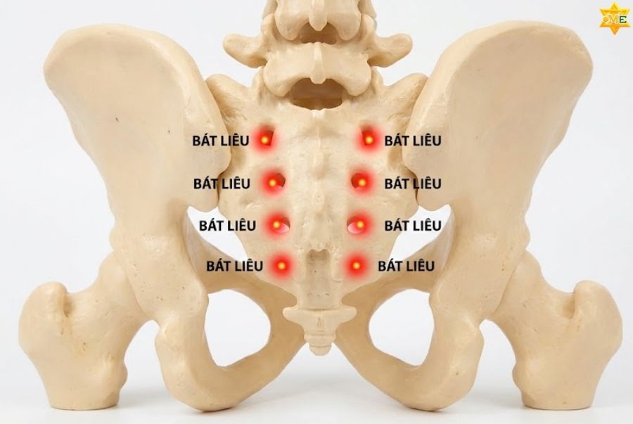 Công dụng của huyệt Bát Liêu