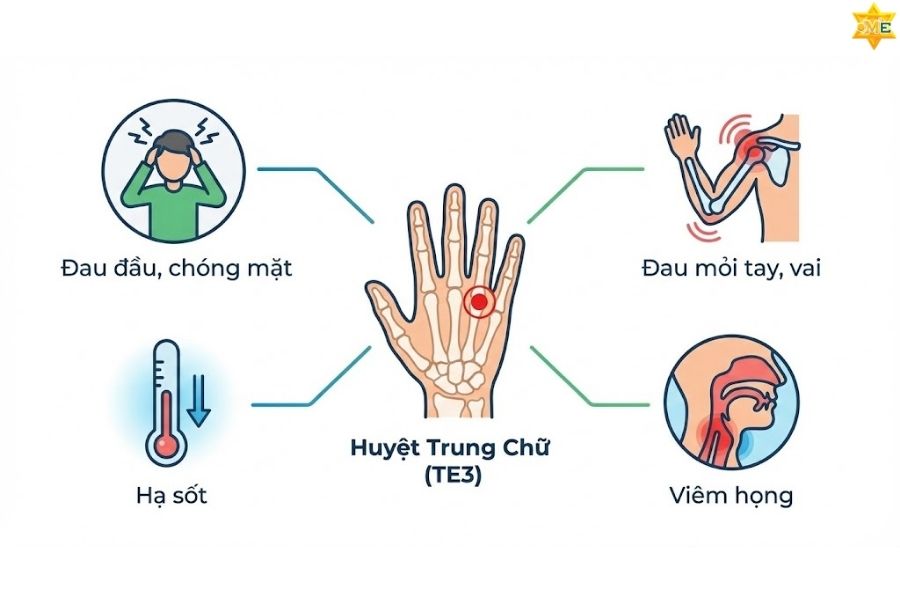 công dụng của huyệt trung chữ