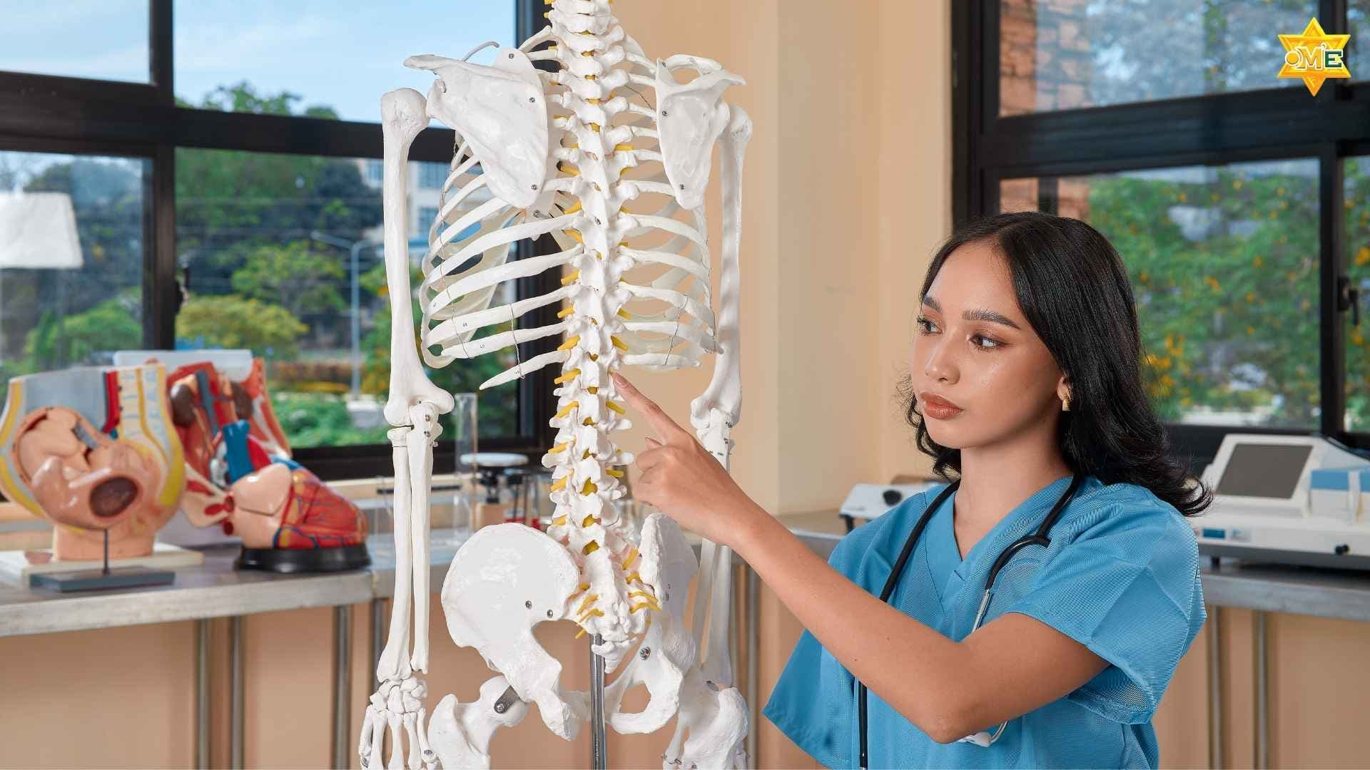 Giải phẫu cột sống: Phòng ngừa, phục hồi & trị liệu