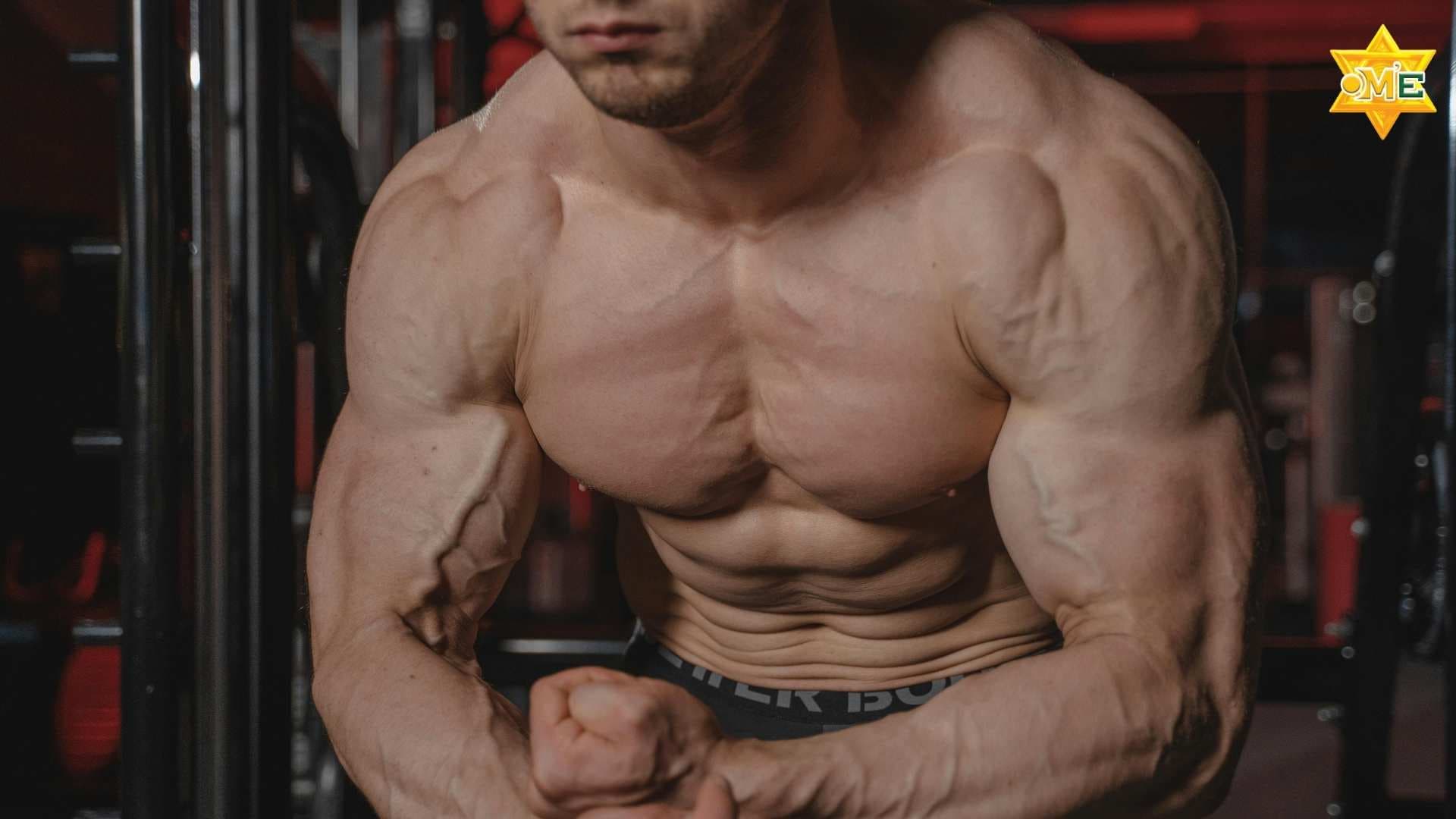 Chế độ ăn cho người tăng cơ giảm mỡ – Hướng dẫn khoa học và an toàn