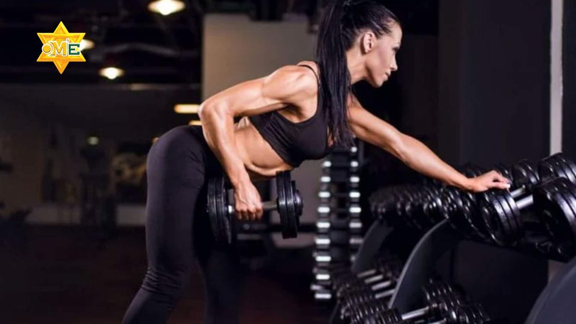 Bài tập gym cho người mới: Hướng dẫn chi tiết từ A–Z để đạt hiệu quả bền vững
