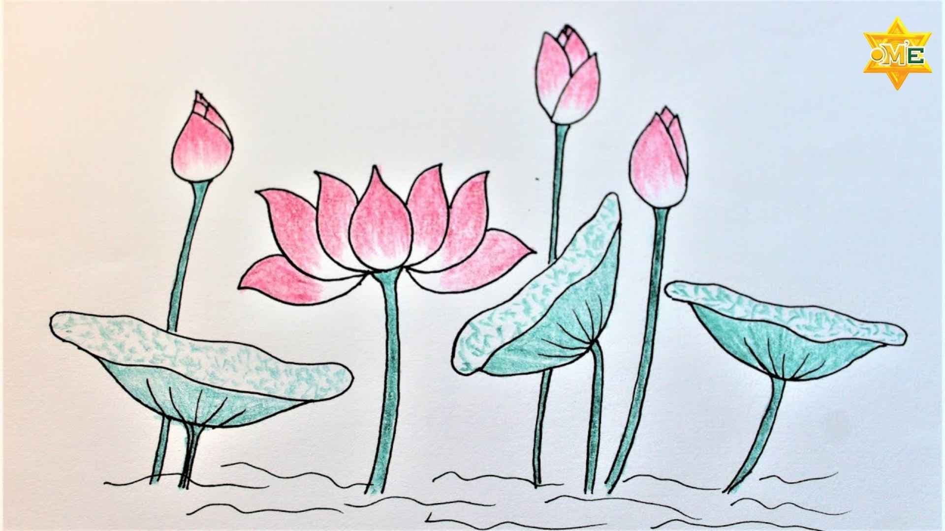 Hướng dẫn vẽ hoa sen – Tranh dự thi ý nghĩa cho học sinh tiểu học